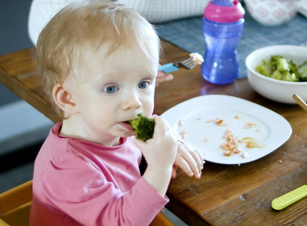 11 month baby food chart marathi healthy diet plan