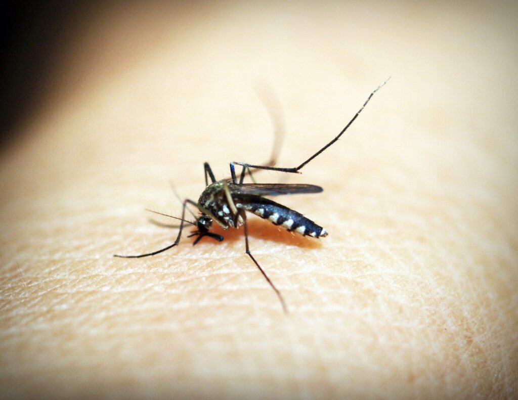 बाळाला डास चावल्यानंतर लालसरपणा आणि सूज