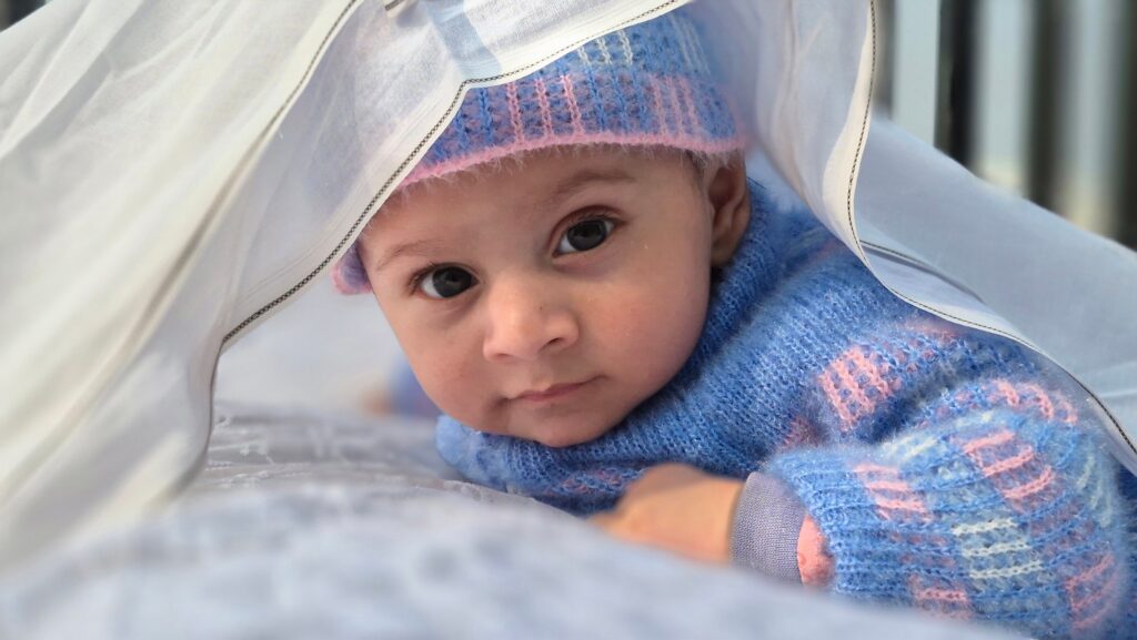 बाळाला डासांपासून सुरक्षित ठेवण्याचे उपाय